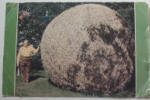 Biggest Ball of Twine - Click to go to U.S. Minnesota