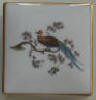 Bird Trinket Box - Click for more photos