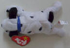 Dotty The Dalmatian - Click for more photos