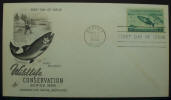 Wildlife Conservation Series 1956 - King Salmon - Click for more photos